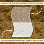 Plant-Based Kitchen Sponges (12 Pack) | USDA Biobased Certified | FSC & PETA Approved | Natural Cellulose & Coconut Scrubber Sponge | S-Shaped Design | Eco-Friendly, Non-Scratch, Non-Toxic & Vegan