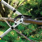 JARDINEER Tree Lopper Branch Cutter Heavy Duty, 3Pack Extendable Loppers for Tree Trimming, 28-38.5" Garden Lopper with 2 Inch Cutting Capacity