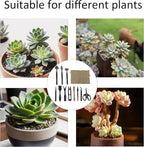 13Pcs Succulent Tools Set Mini Garden Tools Kit for Indoor Bonsai Cactus Care with Pruning Shears Scissors Transplanting Tools for Houseplant