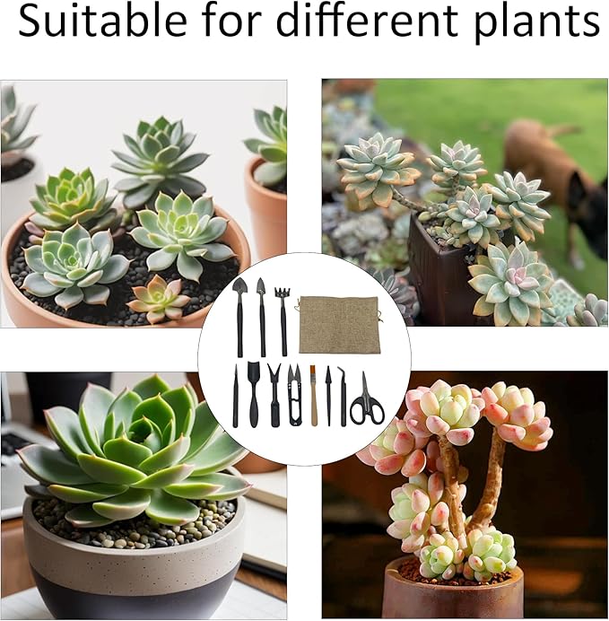 13Pcs Succulent Tools Set Mini Garden Tools Kit for Indoor Bonsai Cactus Care with Pruning Shears Scissors Transplanting Tools for Houseplant