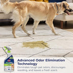 Bissell Pet Pro Stain and Odor Eliminator with Enzyme Action, 2 pack, 77X7F