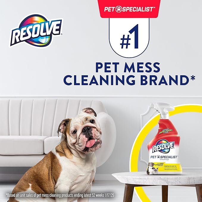 Resolve Pet Specialist Urine Destroyer Spray – Pet Stain & Odor Remover, Carpet Cleaner Solution for Cat and Dog Urine, 22 Fl Oz