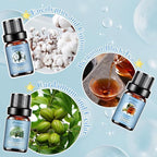 Clean Essential Oils Set, Laundry Collection Essential Oils Set, Pack of 6 Fragrance Oil for Diffuser for Home, Use with Wool Dryer Balls Scents - Fresh Linen, Clean Breeze, Eucalyptus and Cotton