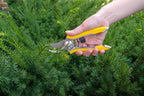 Dramm ColorPoint Stainless Steel Compact Garden Pruning Shears, Hand Pruner, Garden Clippers, with Heavy Duty Blade and Easy grip Handle, Red