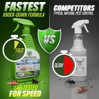 Green Guard Pest Control Spray - Indoor & Outdoor Killer of Ants, Roaches, Spiders & Other Crawling Insects, Safe Around Children & Pets, Plant-Based, Pleasant Scent (Lemongrass Blast, 16oz)