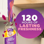 ARM & HAMMER Odor Blasters Deep Rinse and Revitalize Fabric Rinse, Laundry Additive, Eliminates Sweat and Musty Odors, Fresh Escape Scent, 50 fl oz