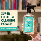 Aunt Fannie's All Purpose Household Cleaner, Multi-Surface Spray Cleaner, Powered by Vinegar for Kitchen, Bath, Windows and Countertops, Fragrance Free, Pack of 6