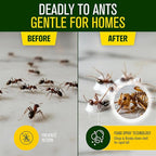 Green Guard Pest Control Spray - Indoor & Outdoor Killer of Ants, Roaches, Spiders & Other Crawling Insects, Safe Around Children & Pets, Plant-Based, Pleasant Scent (Peppermint Hit, 32oz)