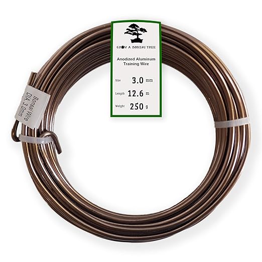 Anodized Aluminum 3.0mm Bonsai Training Wire 250g Large Roll (40 feet) - Choose Your Size and Color (3.0mm, Brown)