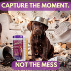 Capture Carpet & Rug Dry Cleaner w/Brush - Carpet Deodorizer & Freshener Powder - Pet Odor Eliminator - Fresh Natural Scent - Carpet Cleaner Powder - Odor Eliminator, Stains Spot Remover (1 lb)