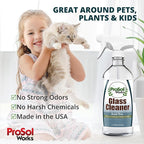 Glass Cleaner 16 oz - All Purpose Cleaning Spray for Glass Doors & Windows, Mirrors & Chrome Surfaces - Glasses Spray Helps Remove Smudges, Fingerprints, Rain Spots & Oil - Glass Cleaners