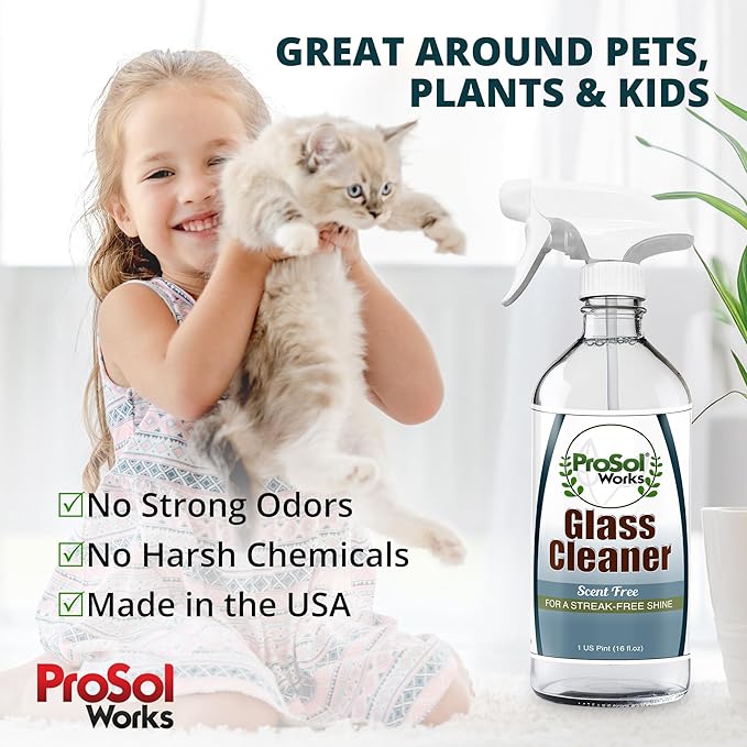 Glass Cleaner 16 oz - All Purpose Cleaning Spray for Glass Doors & Windows, Mirrors & Chrome Surfaces - Glasses Spray Helps Remove Smudges, Fingerprints, Rain Spots & Oil - Glass Cleaners