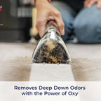 Bissell Professional Spot and Stain + Oxy Portable Machine Formula, 32 oz, Single, 32 Fl Oz