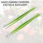 HADIZ Stainless steel Garden Tweezers Two Piece Set For Catus and Succulents 8 Inch Size (Straight & curved)