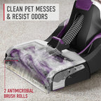Hoover SmartWash Pet Automatic Carpet Cleaner Machine, with Spot Chaser Stain Remover Wand + 64 oz Everyday Carpet Cleaner Solution, Deep Cleaning Carpet Shampoo, AH31924