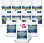 Steam and Go Demineralized Water - Multi-Surface Cleaning Solution for Steam Mop, Ready-to-Use Floor Cleaner, Ideal for Home & Office, Compatible w/Any Steam Mop - Eucalyptus Mint, 32oz, Pack of 12