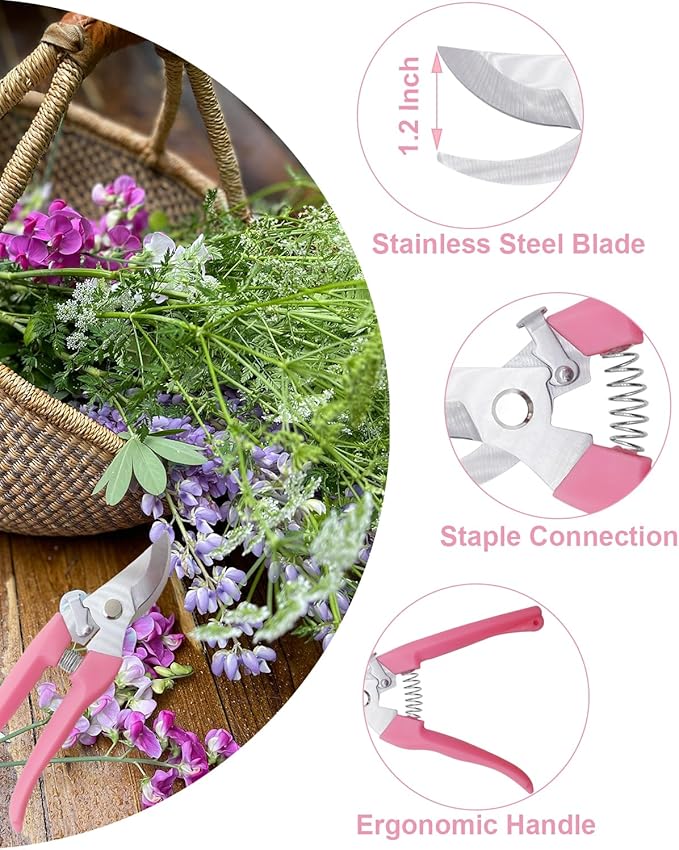Pruning Shears for Gardening, 4 Pack Garden Scissors for Cutting Fresh Flowers, Floral Clippers for Plants, Fruits (Pink, Green, Blue, Black)