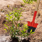 49.2" Garden Shovel/Saw,Landscape Tree Planting Root Shovel, Manganese Steel Long Triangular Gardening Shovel Tool,Shovel Soil Trench Shovel,Slayer of Grass (B Style)