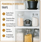Dr. Killigan's Premium Double Potent Pantry Moth Traps with Pheromones Prime, Sticky Indian Meal Moth Traps for Kitchen, How to Get Rid of Moths in House (6 Pack, Black)