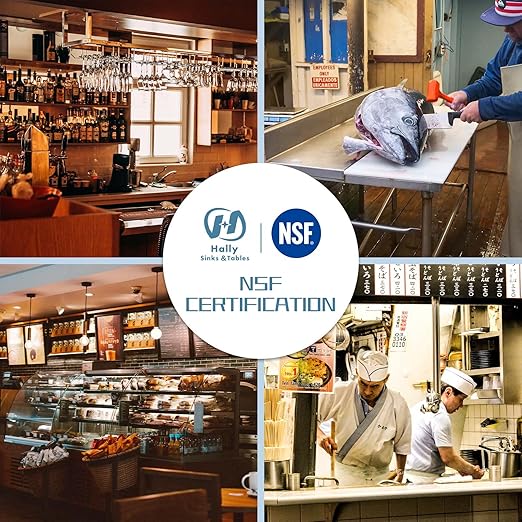 Hally Stainless Steel Table for Prep & Work 18 x 48 Inches, NSF Commercial Heavy Duty Table with Undershelf and Backsplash for Restaurant, Home and Hotel