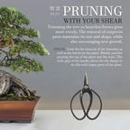 BambooMN Bonsai 7" Heavy Duty Butterfly Shear - 30 Pieces