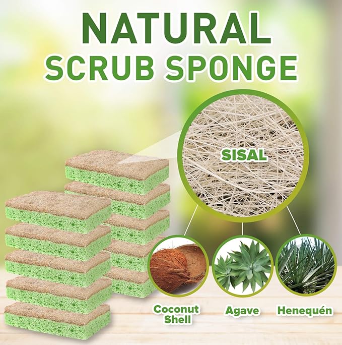 SCRUBIT Natural Sponges - 10 Pack Biodegradable Compostable Cellulose and Coconut Natural Sponges for Dishes, Eco Friendly Non Toxic Kitchen Sponge
