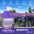 Multi Purpose Cleaner Pet Odor eliminator 64oz - Concentrate MAKES 32 GALLON - MADE IN USA- pH Neutral - Strong Floor Cleaner Odor eliminator - Stain Remover Cleaner & Deodorant (64 Fl Oz, Lavender)
