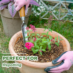 Haliaeetus Seeding Widger, Stainless Steel Garden Planting Trowel for Repotting, Long and Narrow Widger for Weeding from Tight Areas, Hand Transplanter with Wood Handle for Planting, Weeding, Digging