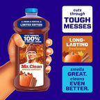 Mr. Clean All Purpose Cleaner, Cleaning Liquid, Spiced Harvest, 41oz