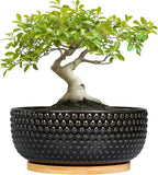 Bonsai Tree Pot - 8 Inch Ceramic Succulent Planters with Drainage and Plant Tray, Boho Round Shallow Bowl for Indoor Plants, Office Decor, Housewarming Gift, Black