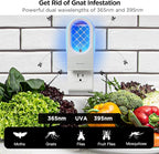 Fruit Fly Traps/Gnat Traps for Indoors, UV＆Blue Light Plug-in Gnats Killer Bug Trap, NAT Killer, Flying Insect Catcher Trap for Fruit Flies, Moths, Mosquitoes, Fungus, Get Rid of Gnat Infestation