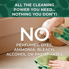 PathoPure Natural All-Purpose Cleaner Concentrate - Unscented, Non-Toxic for Cleaning Kitchen, Bathroom, Glass, Floor, Carpet & Upholstery Stains - 1 Gallon (Makes 64 Bottles)