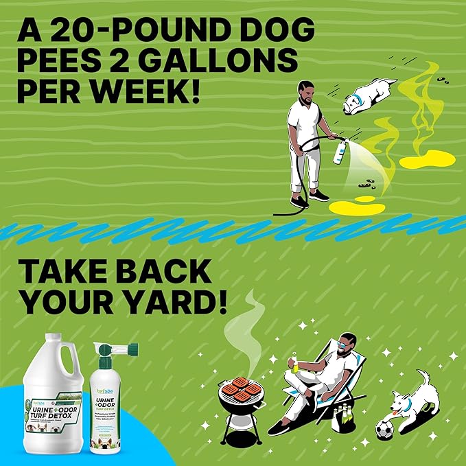 Urine & Odor Turf Detox: Mango Gallon Refill of Professional Enzyme Cleaner & Odor Eliminator for Artificial Grass, Turf, Concrete, Patio & Kennels, Pet Urine Enzymatic Cleaner for Dogs & Cats