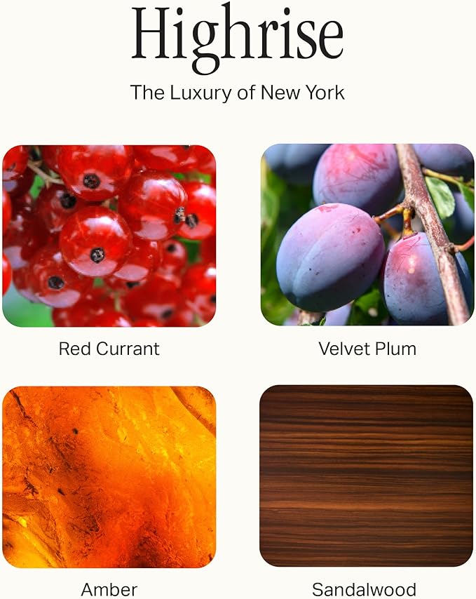 Signature Set, Includes All Purpose Cleaner, Dish Soap, Hand Wash, Hand Cream, & Scented Candle, Highrise