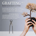 BambooMN 7.5" Root Cutter Tool - 3 Pieces