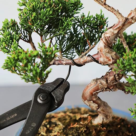 Wazakura 150 gr Black Anodized Aluminum Bonsai Training Wire Made in Japan (1.5 mm, Black)