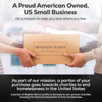 Amber Glass Hand and Dish Soap Dispenser Set by Brighter Barns - Modern Kitchen Decor & Accessories for Airbnb, RV, Office, Housewarming Gifts (Amber)