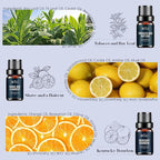 Men Essential Oils Set - TOP 6 Gentlemen's Fragrance Oil for Diffuser, Candle & Soap Making - Tobacco and Bay Leaf, Kentucky Bourbon, Galactic Skies, Scotch Whisky, Birchwood Oud