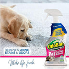 OdoBan Pet Solutions No Rinse Neutral pH Floor Cleaner Concentrate, Made in the USA, 1 Gallon, and Oxy Stain Remover, 32 Ounce Spray