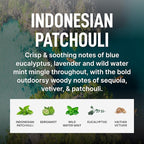 Laundry Sauce - Laundry Fabric Softener (Indonesian Patchouli) Luxury Fragrance, Softens & Preserves Fabric, Reduces Wrinkles, 19 Fl Oz