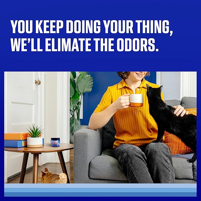 Ozium 4.5 Oz. Odor Eliminating Gel for Homes, Cars, Offices and More, Original, 4 Pack