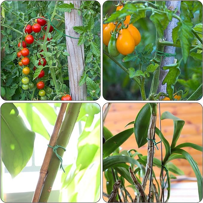 YDSL 100 Feet Soft Tie for Plants, Green Twist Garden Ties Gardening Supplies for Supporting Climbing Plants, Tomatoes, Vegetables, (Diameter - 2.5MM)