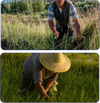 1pce 290mm/11.42in Carbon Steel Billhook Brush Clearing Sickle for Grass,Weeding Tools for Garden,Curved Sawtooth Sickle,Machete Axe for Cutting Trees,Steel Blade Knife in Hand