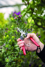 Felco F322 Pruning Snips – 9.84" Swiss-Made Garden Clippers with Curved Blade & Rounded Tip | Pruning Shears for Gardening | Garden Snips and Pruners with Carbon Steel Blade, Sap Groove