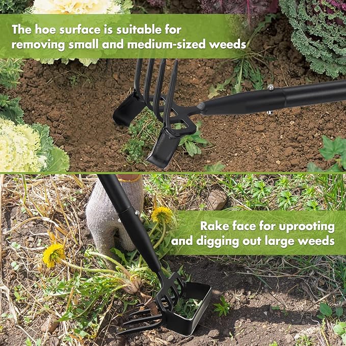 Weed Puller Gardening Tools, Hula Garden Hoe and 4 Tines Rake 2-in-1 Garden Tools for Weeding, Action Stirrup Hoe with 37"-62" Adjustable Long Handle for Lawn,Vegetable Garden Loose Soil and Weeding