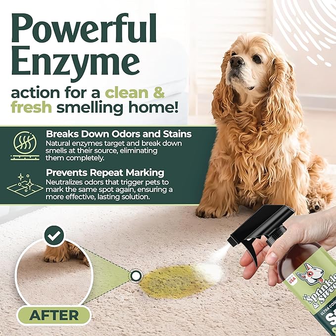 Sprinkle & Sweep Pet Stain and Odor Remover - Super Concentrated Pet Odor Eliminator - No Scrubbing Dog & Cat Urine Enzyme Cleaner Destroyer - Carpet Cleaner for Multiple Surfaces (24 oz Pack of 2)