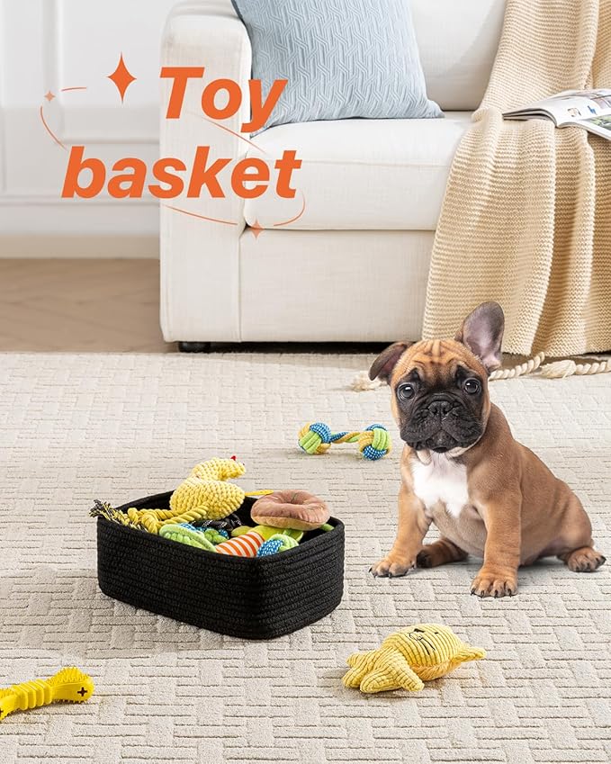Small Woven Basket, 12 x 8 x 4.5 Inches, Storage Basket for Organizing, Cute Small Rope Shelf Closet Cube Storage Bins Baskets for Shelves, Dog Toy Gift Baskets Empty, 3 Packs, Black