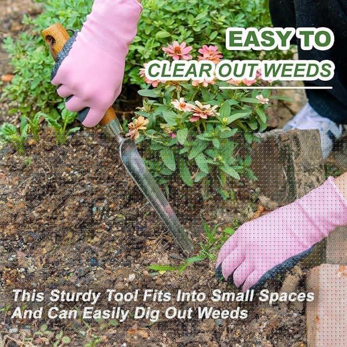 Haliaeetus Seeding Widger with 6'' Scale, Stainless Steel Planting Trowel for Repotting, Long and Narrow Widger for Weeding from Tight Areas, Hand Transplanter with Wood Handle for Planting, Digging