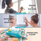 Single Surface Wipes with Bleach, Thick & Large Dispose, All-Purpose Cleaner for Bathroom, Kitchen, Office, 100 Count Soft Flow, Biodegradable, Fresh Scent