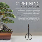 BambooMN Bonsai Basics Set - 8" Knob Cutter and 7.2" Trimming Shear - 1 Set